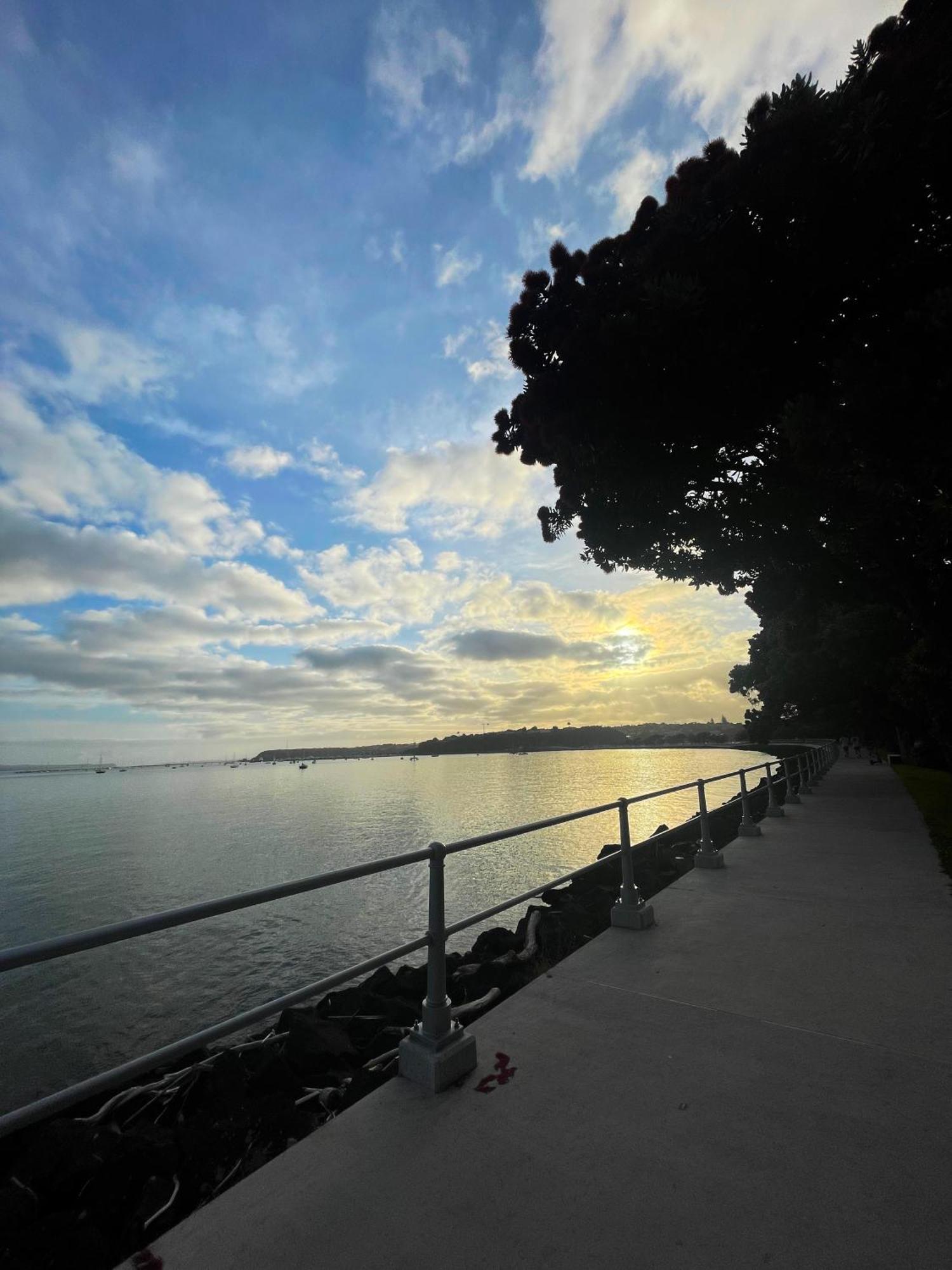 Luxury Apartment - Parking - Hot Tub - Stunning Views Auckland Extérieur photo